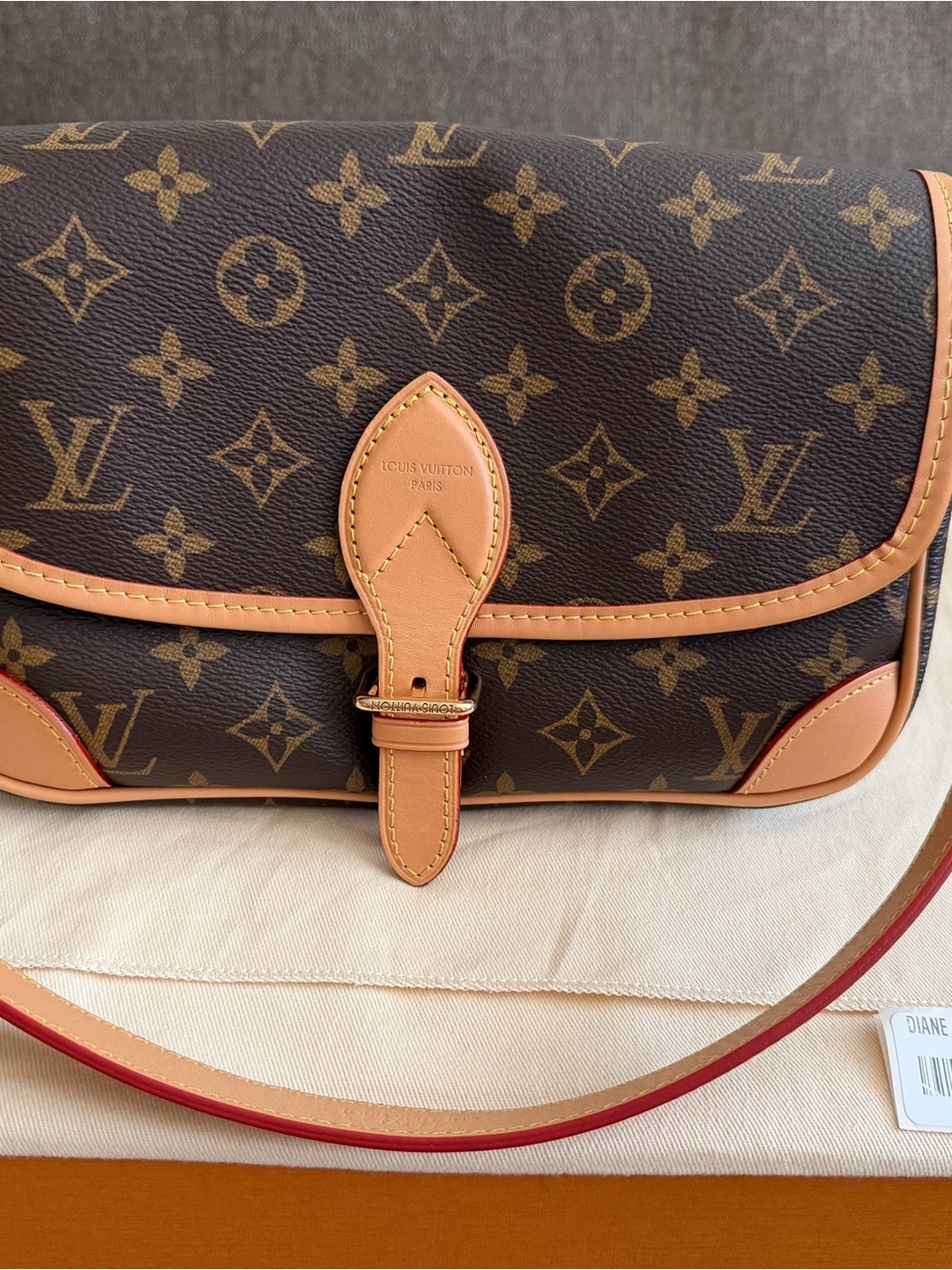 Louis Vuitton Monogram Canvas Crossbody with Natural Vachetta Trim